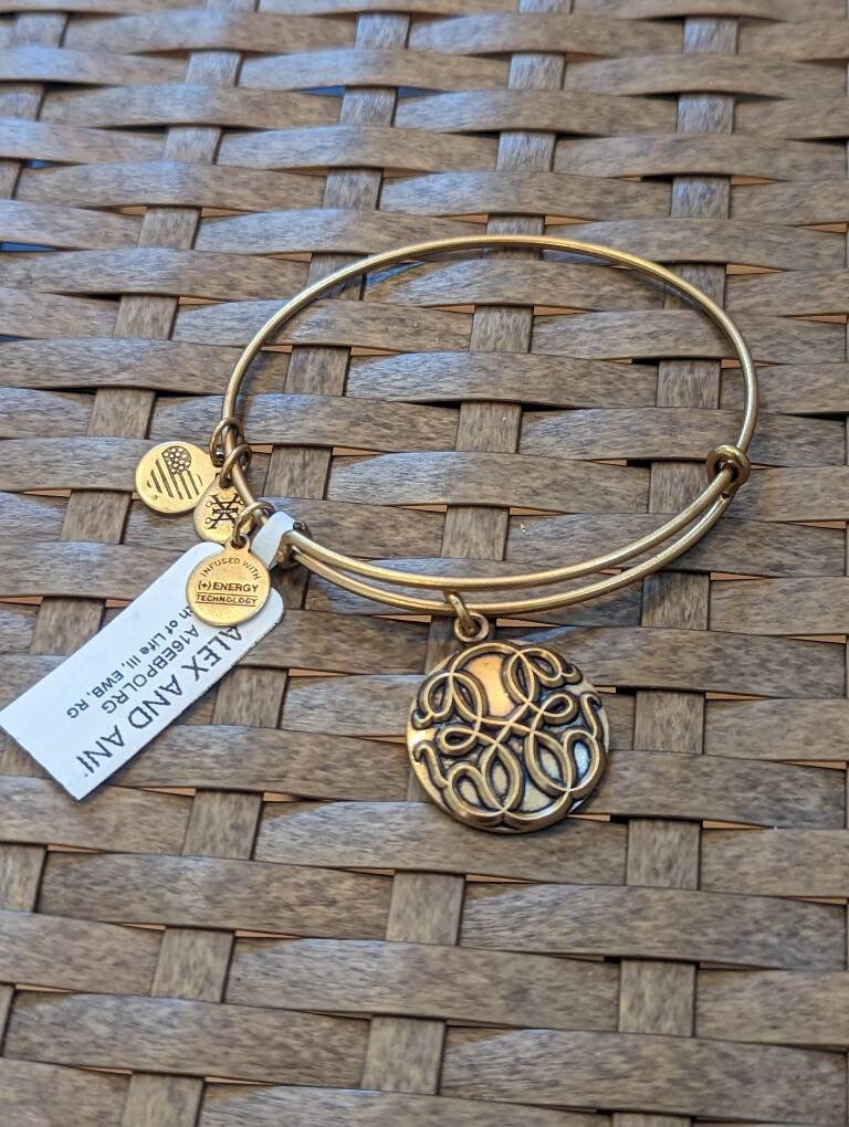 thumbnail image 2 of Alex And Ani FRIENDS Logo Bar Bangle Bracelet - Rafaelian Silver Finish 1 20002044 T1580268938 2 of 14
