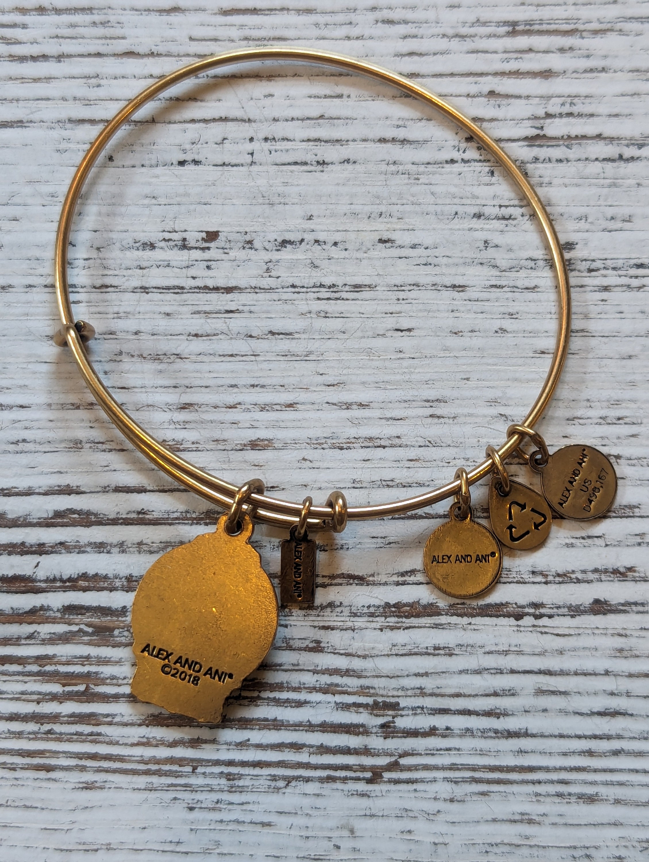 Alex and Ani 2018 Snow Globe Charm Bangle Bracelet Etsy