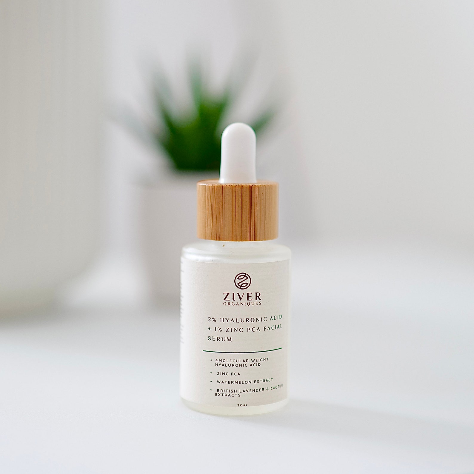 Hyaluronic Acid Facial Serum: 2% HA, Zinc PCA, Watermelon Extract