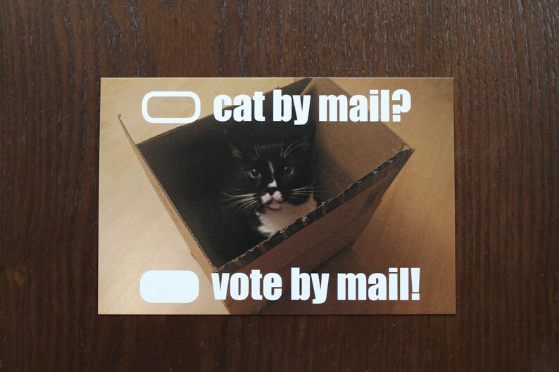 GOTV Vote from home postcards cat by mail postcards to voters vote by mail get out the vote