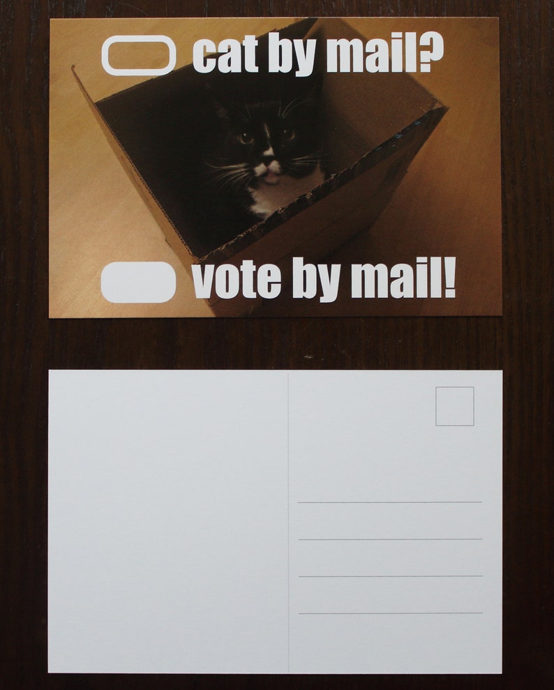 GOTV Vote from home postcards cat by mail postcards to voters vote by mail get out the vote