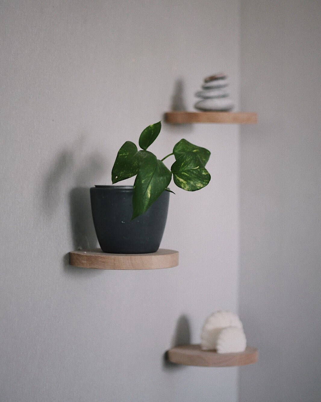 Set of 3 Round Wooden Floating Plant Shelves Etsy