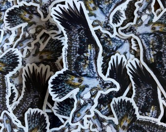 Osprey Bird of Prey 3 Inch Die Cut Vinyl Sticker Laptop Decal