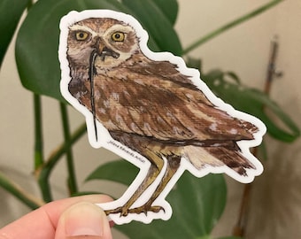 May include: A brown and white owl sticker with a worm in its beak. The sticker has the artist's name, "Jolene Edwards Artist", printed on the bottom.