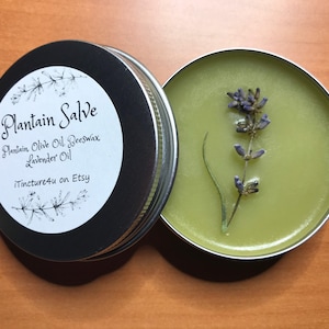 Plantain Salve - Summer Favorite!