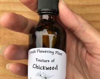 May include: A brown glass bottle with a black dropper top and a white label that reads "Fresh Flowering Plant Tincture of Chickweed In 100 Proof Vodka".
