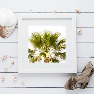 Decoración de pared imprimible de Palm Tree brillante | Etsy