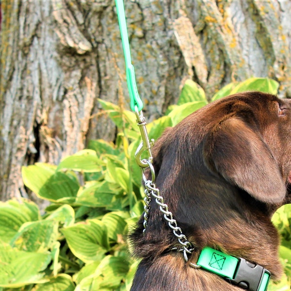 BioThane Snap Leash