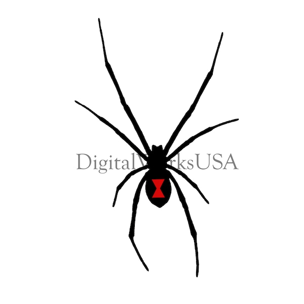 Black Widow Spider Clipart Image JPG PNG