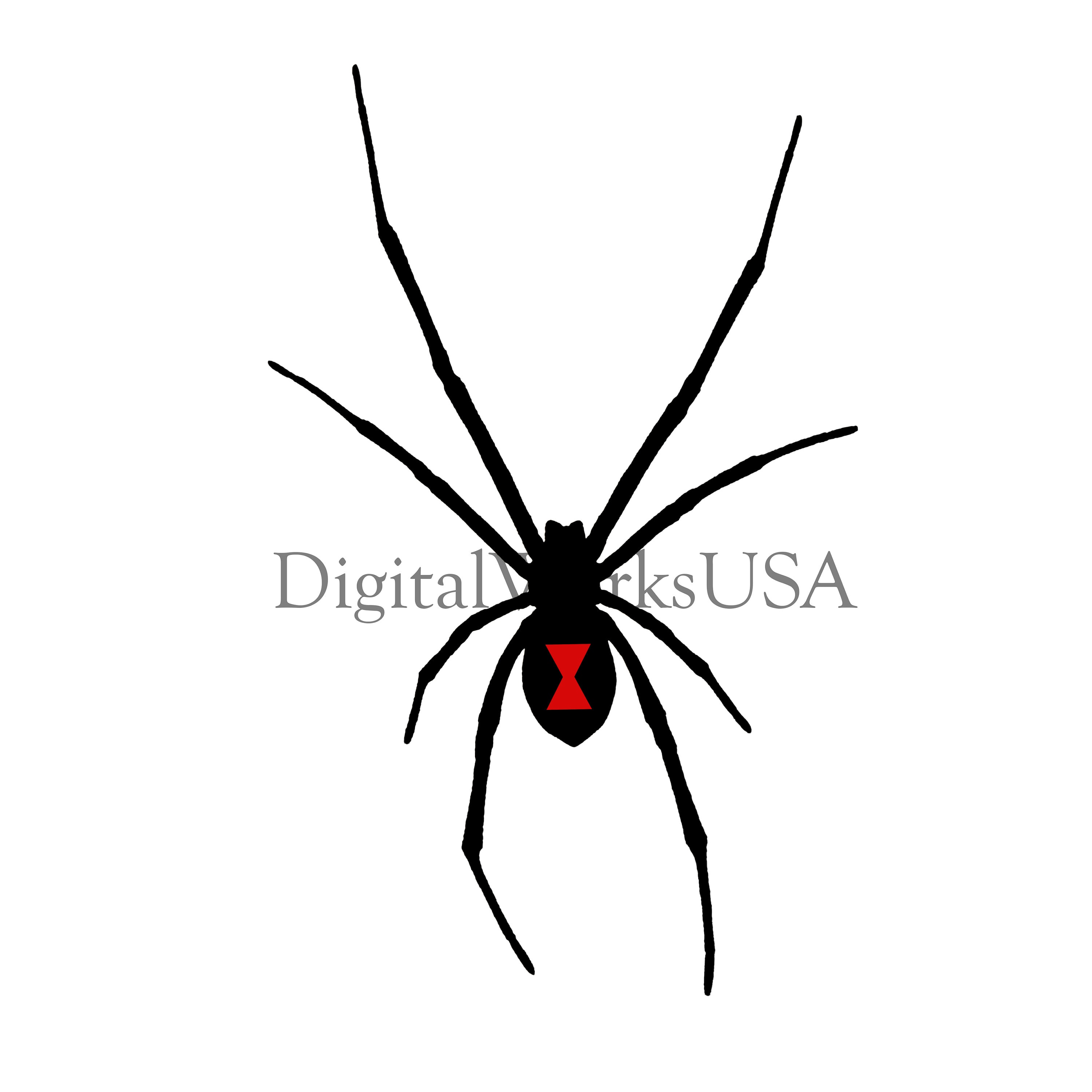 Black Widow Spider Clipart Image JPG PNG - Etsy
