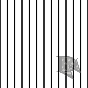 Black And White Pinstripe Pattern Seamless File or Digital Paper JPG 12x12