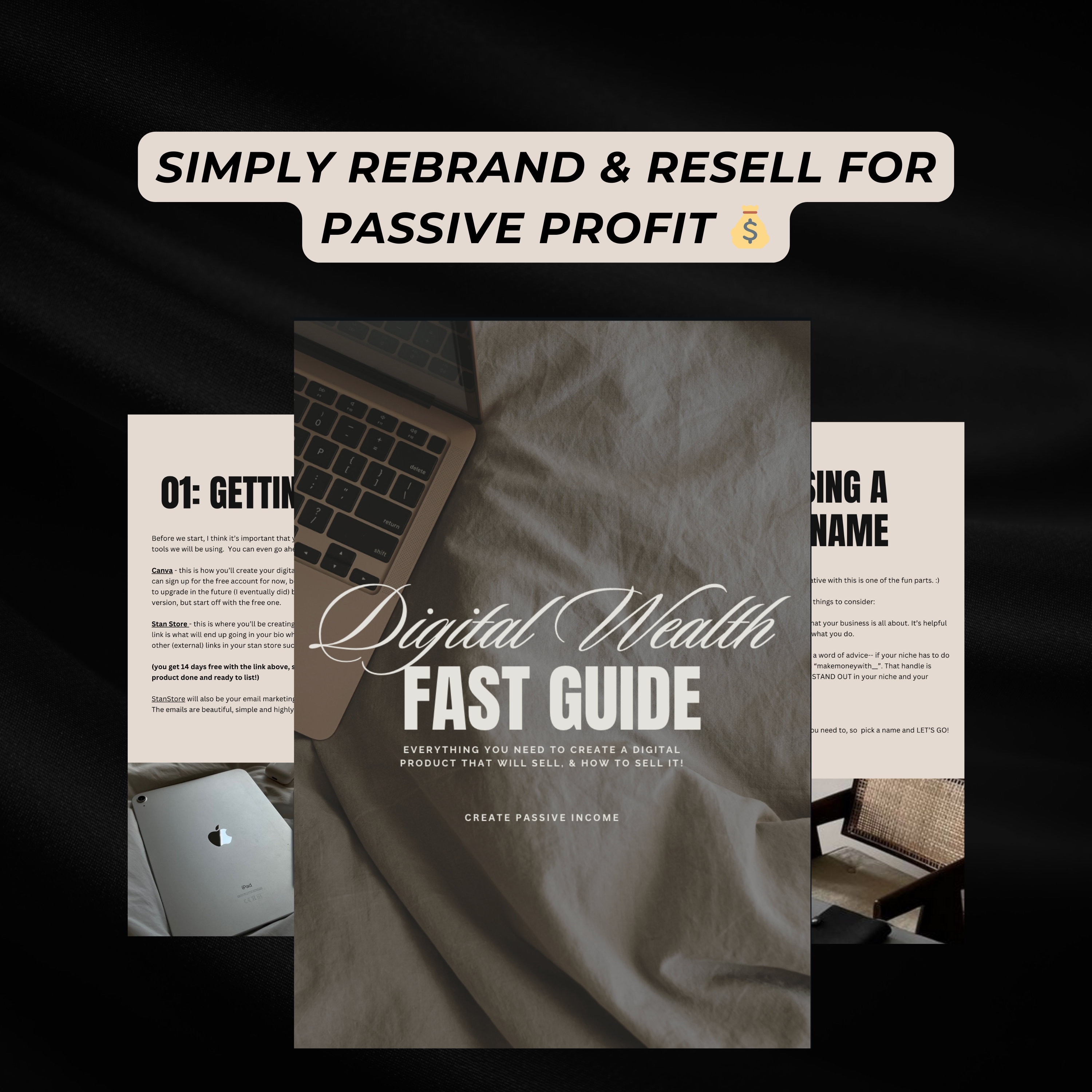 Digital Wealth Marketing Guide Bundle With Master Resell Rights MRR ...