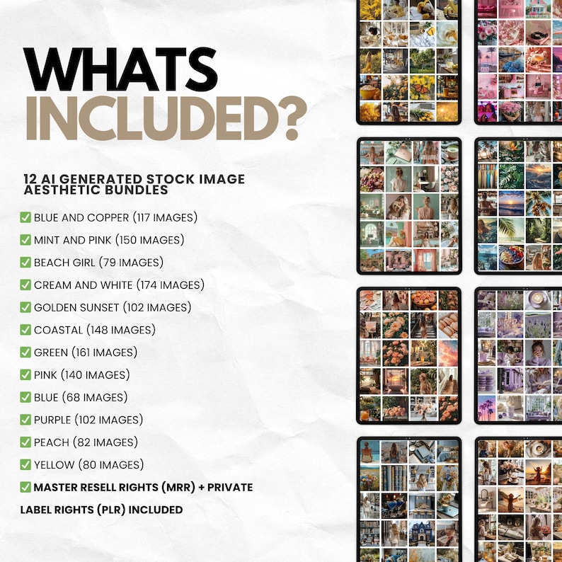 The Complete Stock Image MRR PLR Bundle Stock Images, Faceless Digital