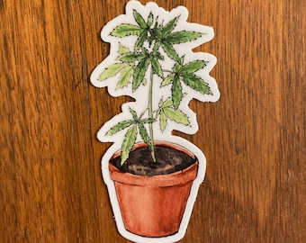 Potted Pot Stickers