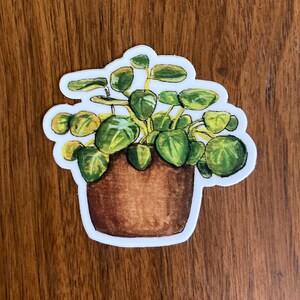 May include: A sticker of a potted plant with green leaves. The plant is in a brown pot with a white outline.