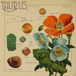 Taurus Zodiac Print image 2