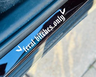 Feral Bitches Only, Stay Feral, Get In Loser, Goth Decals, Goth Car Decor, Goth Car Accessories, Feral, Heathen, Stay Spooky, Stay Weird