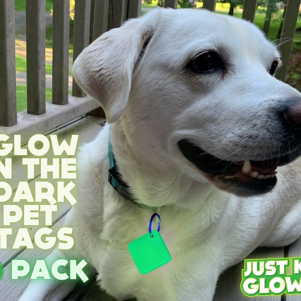 Pet Tag for Dogs, Pet Accessories, Pet Tag for Cats, Pet Accessories Handmade, Glow in the Dark, Pet ID Tags for Dogs and Cats, Pet ID Tag