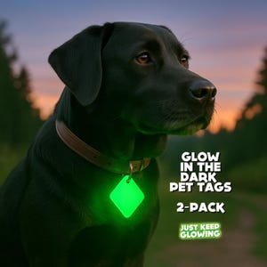 Glow in the Dark Pet Tags (2-Pack) | Rechargeable Dog & Cat Safety Lights | Camping, Adventure, Survival Gear, EDC | Handmade in USA