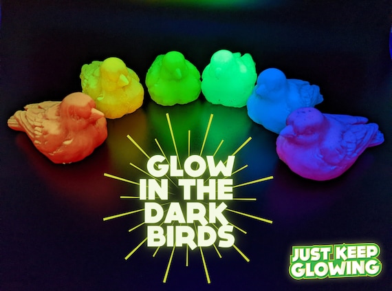 Glow in the Dark Bird, Vogel Figur, Kinder Nachtlicht, Fidget Spielzeug,  Tierspielzeug, Schreibtisch spielzeug, Schreibtisch Accessoire, Camping,  Kinderspielzeug, Terrasse Dekor - .de