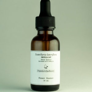 Skullcap Bloem Essence