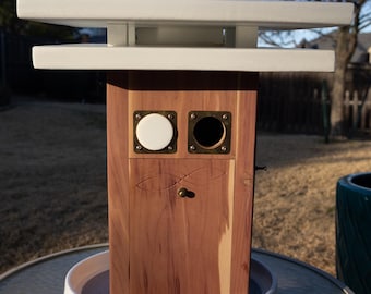 Cedar "Camera-Ready" Bluebird House