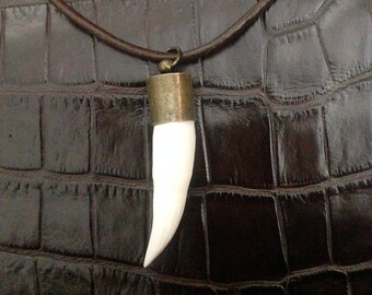 Alligator teeth best sale necklace