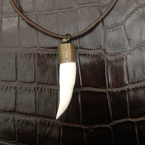 Large, Aged White Saber Canine Tooth Beads Pendants 4 