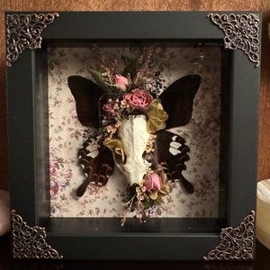 OOAK Swallowtail and Mink Skull Assemblage