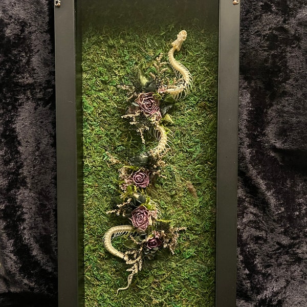 OOAK Floral Snake Skeleton Shadow Box