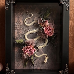 OOAK Floral Snake Skeleton Shadow Box