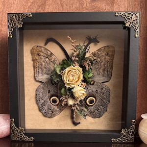 OOAK Giant Owl Wing and Fox Rib Bone Butterfly