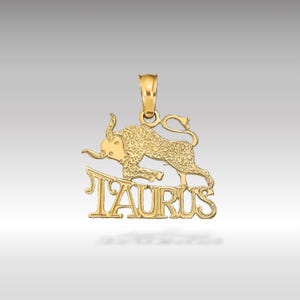14K Gold TAURUS Zodiac Charm Necklace - Bull Astrology Symbol Pendant - Textured Horoscope Jewelry - Gift for Taurus