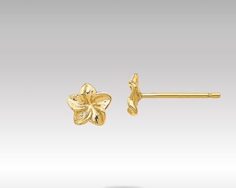 May include: A pair of gold flower stud earrings. The earrings are small and delicate, with a simple design.