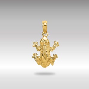 14K Solid Gold Texturierte Frosch Anhänger - Polierte Kröte Halskette, Luxus Schmuck für Naturliebhaber