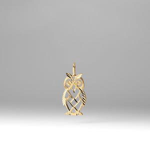 14K Solid Gold Night Owl Pendant – Luxury Nocturnal Bird Necklace Charm, Fine Jewelry Gift for Collectors