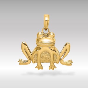 14K Solid Gold Textured Sitzender Frosch Anhänger - Amphibien Halskette, luxuriöser Schmuck für Naturliebhaber