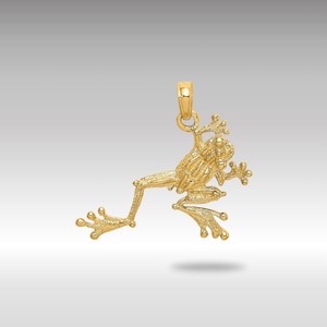 14K Gold Frog Pendant: Detailed Two-Dimensional Amphibian Necklace