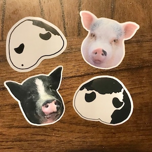 Sticker Bundle - All Four Piggie Smalls & Eliza Stickers