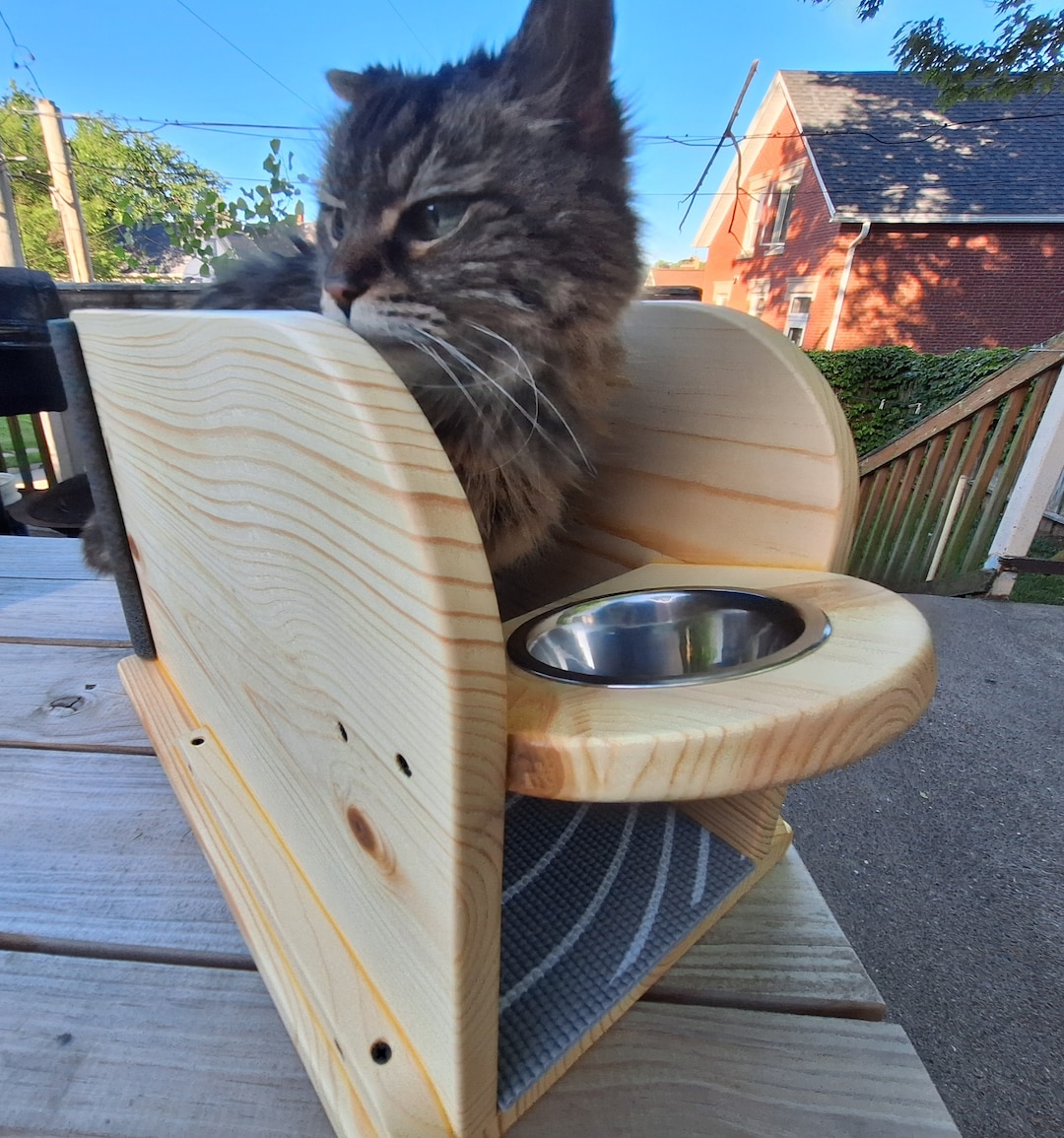 Pate s Feeder the Original Feeding Solution for Cats With Cerebellar Hypoplasia wobbly Cat Syndrome CH Cat Feeder Etsy