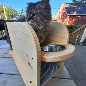Raccoon Proof Cat Feeder Etsy