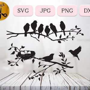 Pacote SVG de pássaros, pássaros em galhos Svg, silhueta de pássaro em árvore, família de pássaros DXF, clipart SVG de ninho de pássaro, amante de pássaros observação de pássaros Png Jpg