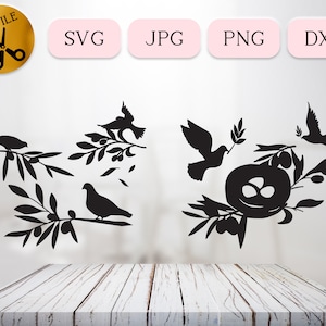 Rama de olivo con paloma SVG, escena de paloma Cricut, Svg botánico, clipart de rama de olivo, hojas de olivo Svg, laurel Svg, nido de pájaro con huevos DXF Jpg Png