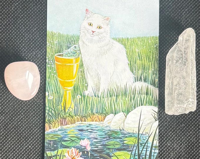 1 Card Tarot Reading – Focused Tarot Reading for One Question – Quick Written Tarot Guidance – Digital Reading