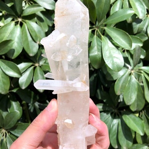 Peut inclure: Un grand amas de cristal de quartz clair avec plusieurs pointes. Le cristal est translucide et a une légère teinte jaune. Le cristal mesure environ 15 cm de haut.