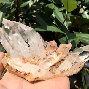 Peut inclure: Un amas de cristaux de quartz transparents avec une texture naturelle et rugueuse. Les cristaux sont disposés en forme d'éventail et ont une légère teinte rose. Les cristaux sont placés sur un fond de feuillage vert.