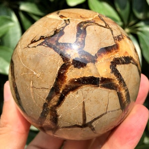 Natural  Septarian Dragon Sphere /Natural Septarian Ball/Tumbled  septarium /Energy stone /Decoration/Meditation/Chakra/Meditation/Altar