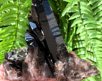 May include: A large cluster of black smoky quartz crystals with a natural, rough surface. The crystals are arranged in a point-up formation, with the largest crystal in the center. The crystals are translucent and have a dark, smoky color.