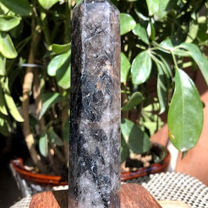Rare Natural black Tourmaline Rutilated Quartz Tower/black Tourmaline Included Crystal Point/Crystal Specimen/Crystal energy/Healing crystal