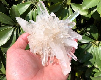 Top level transparency Natural Raw Himalaya Clear Abundance Quartz Cluster/White Abundance Quartz Cluster/Receiver Generator Quartz